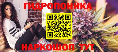 spice Северобайкальск