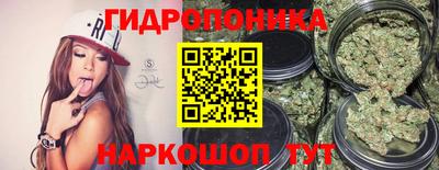 jwh Свободный