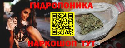 jwh Свободный