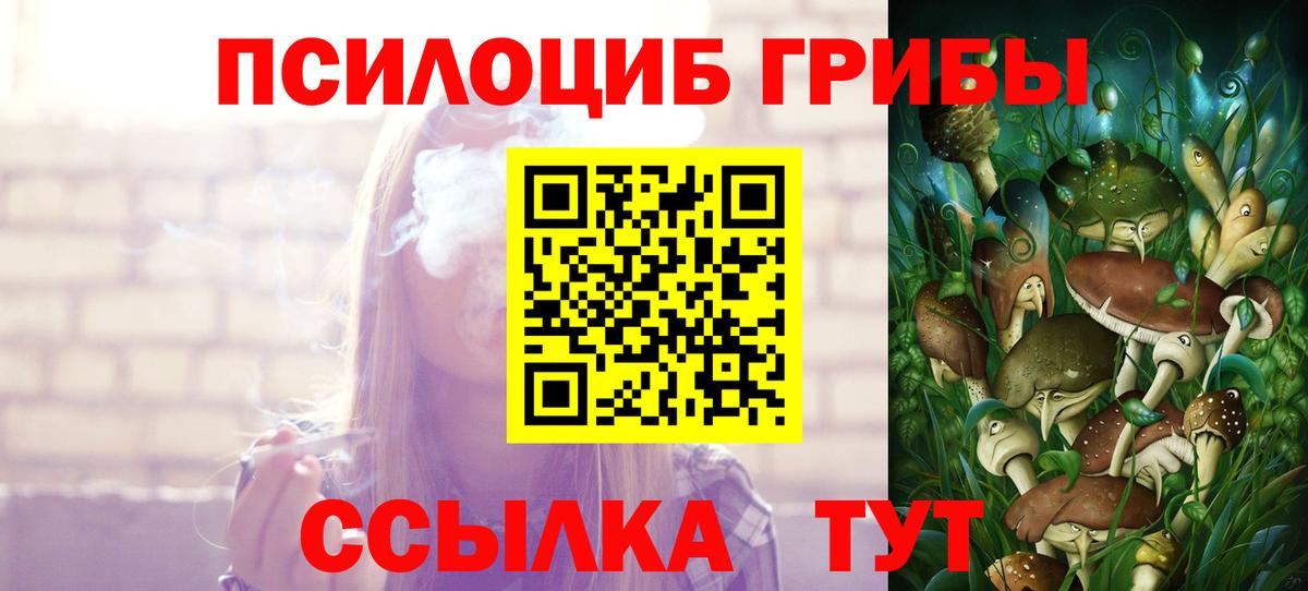 Галлюциногенные грибы прущие грибы Богородск