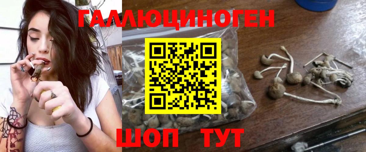 Псилоцибиновые грибы мухоморы  Галлюциногенные грибы MAGIC MUSHROOMS  Богородск  Вход с VPN 