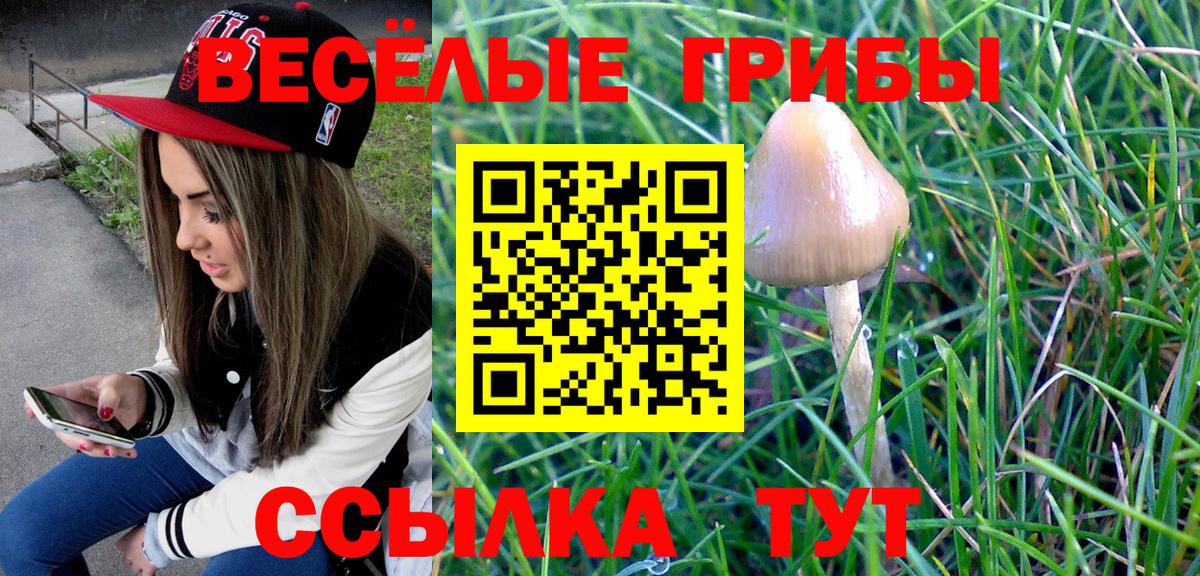 Меф МЯУ МЯУ   МДМА  Вход с VPN  ГАШ  КЕТАМИН  Богородск  Бошки Шишки 